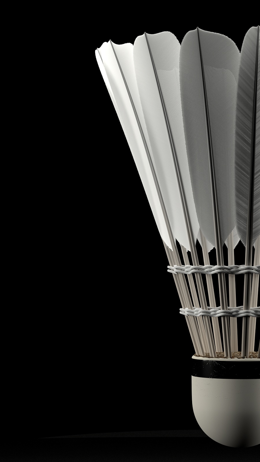 在这场争议 在这场争议